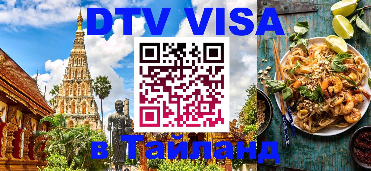 Оформление DTV визы под ключ: стоимость и тарифы, только загранпаспорт - Волжский 